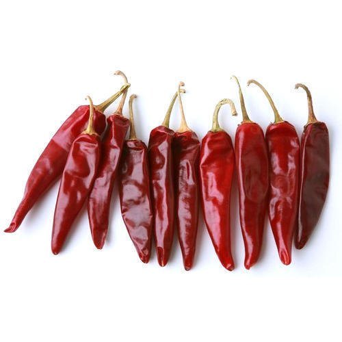 Endo 5 Red Chilli