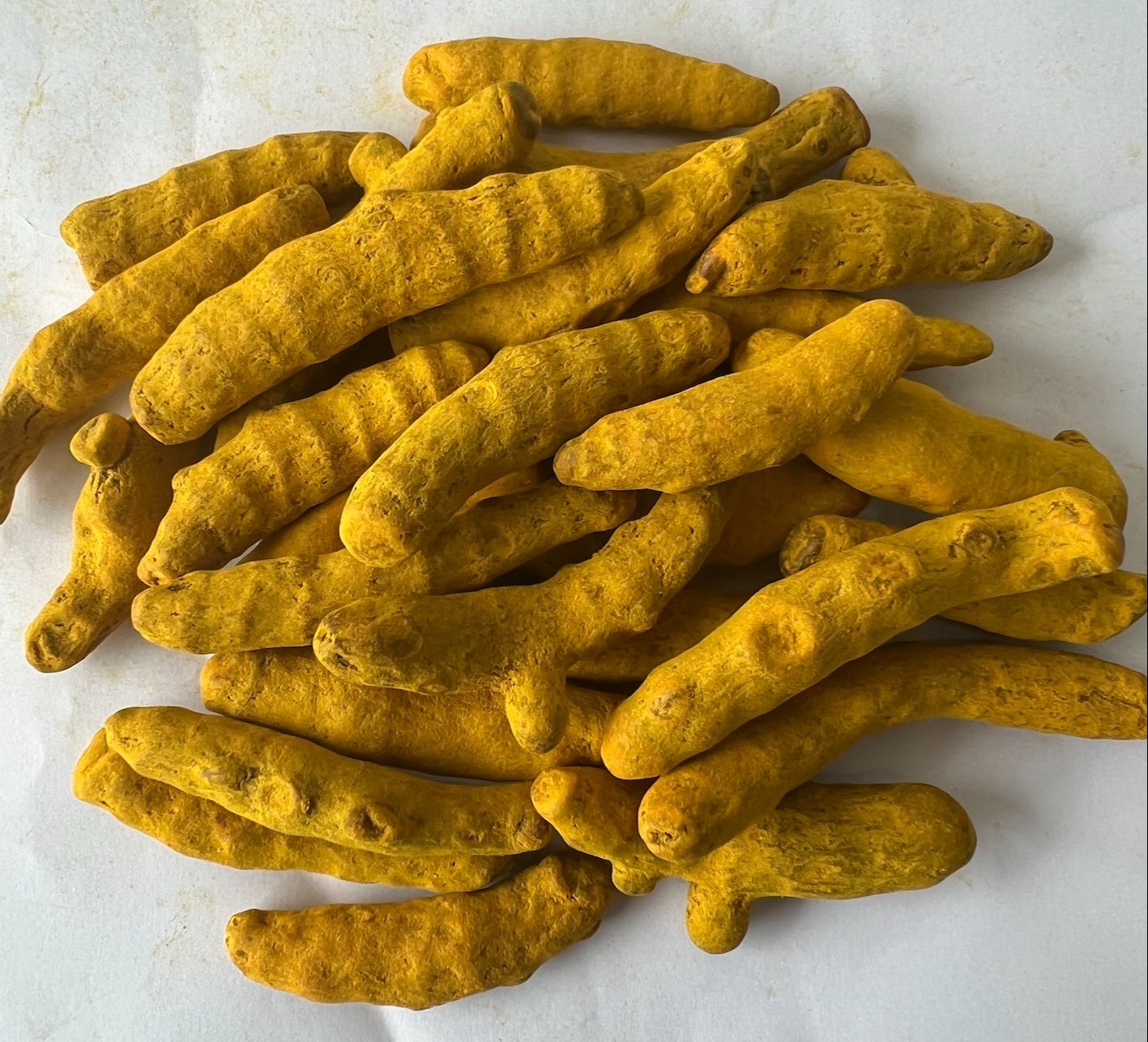 Salem Super Japan Turmeric Finger